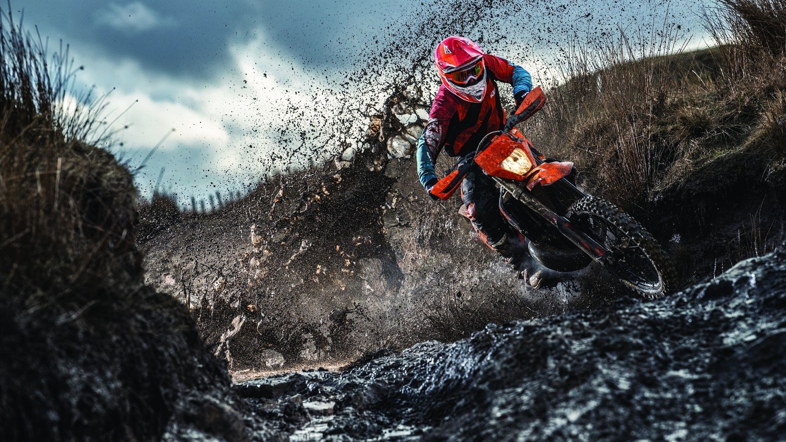 这一刻所有人惊呆，这一刻所有人都爱你